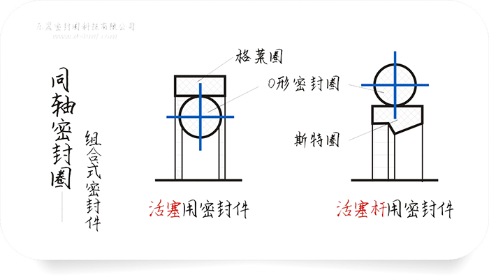 同轴组合密封件圈截面结构平面图（图1-1）